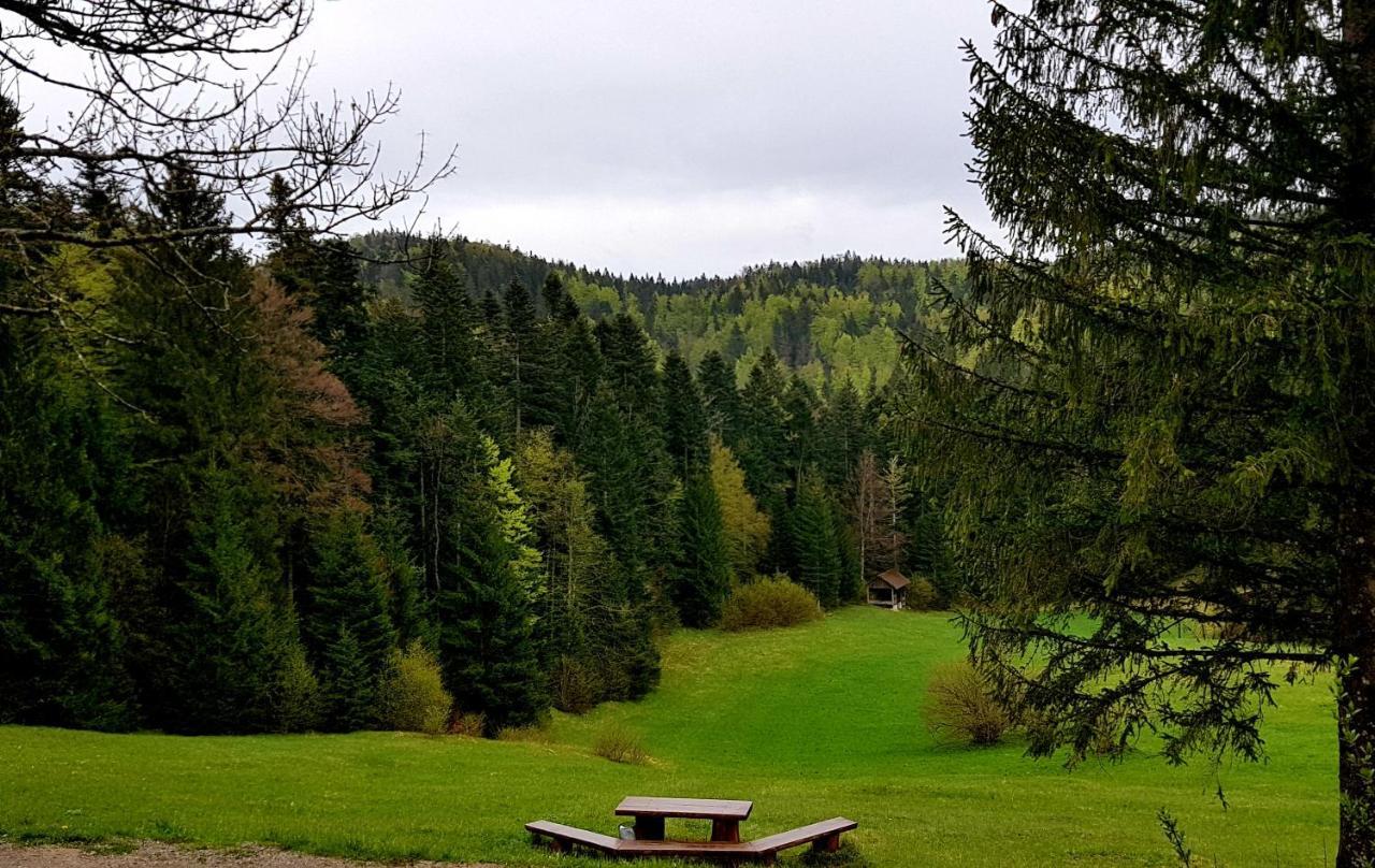 Planinski Dom Na Travni Gori Sodrazica Exterior foto