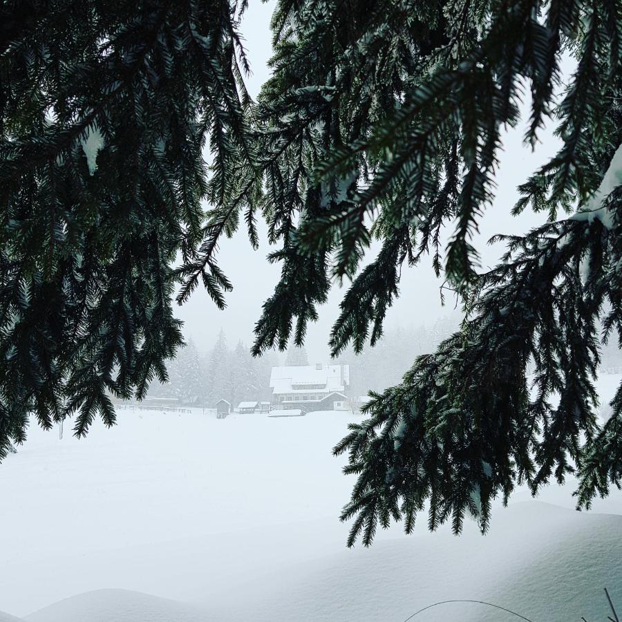 Planinski Dom Na Travni Gori Sodrazica Exterior foto