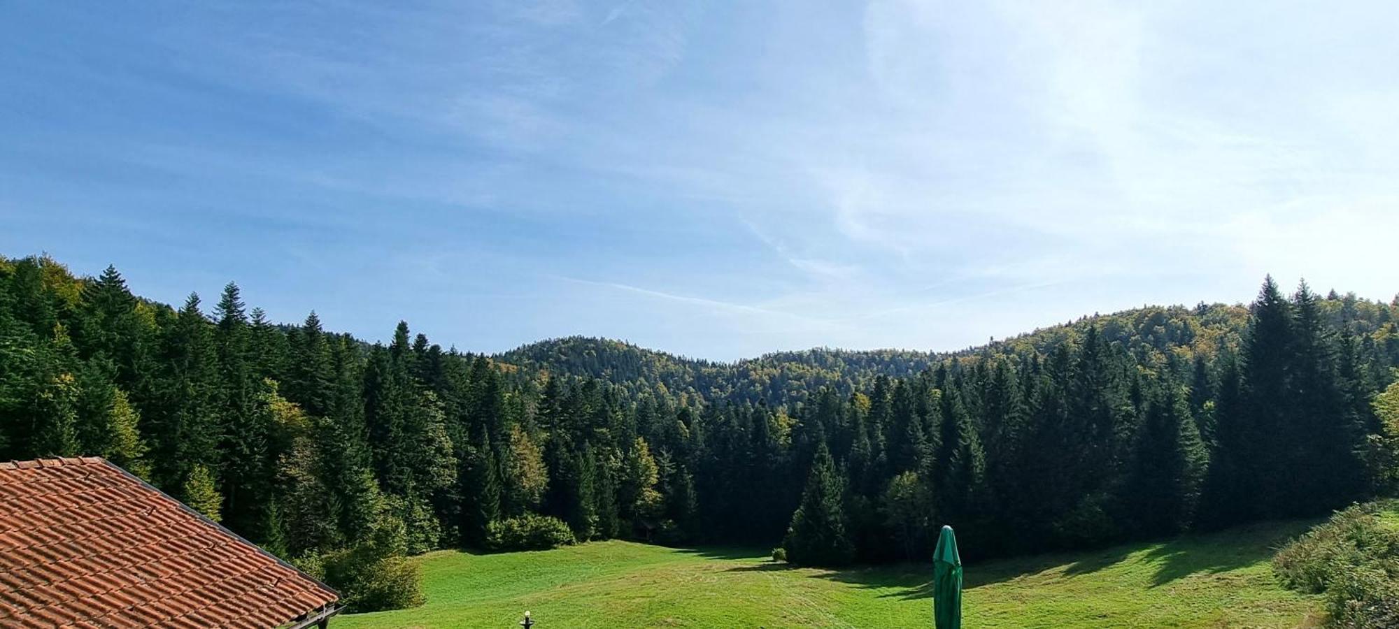 Planinski Dom Na Travni Gori Sodrazica Exterior foto